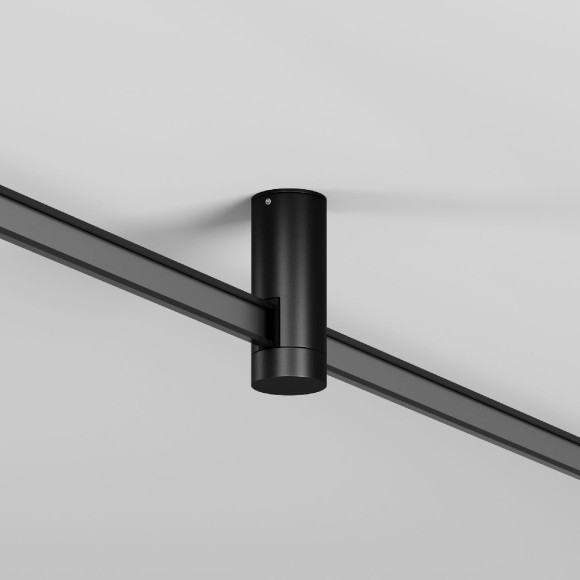 Крепление потолочное Maytoni Flexity TRA200C-11B