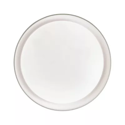 Потолочный светильник Sonex BIONIC 3030/DL