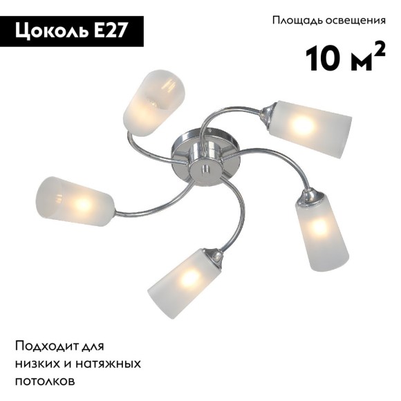 Потолочная люстра Vitaluce V2831-9/5PL