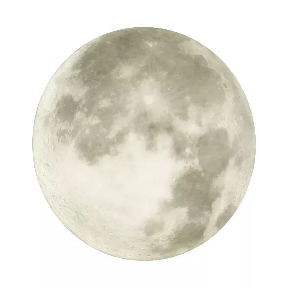 Настенно-потолочный светильник Sonex Moon 3084/DL Настенно-потолочный светильник Sonex Moon 3084/DL