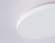 Потолочный светильник Ambrella Light Orbital FZ1220