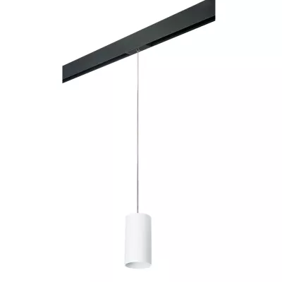 Трековый светильник Lightstar Rullo PRORP6486 (216486+595887)