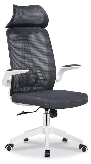 Кресло компьютерное Lokus WO_15633