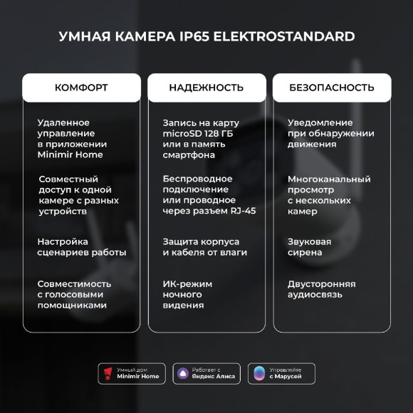 Умная видеокамера Elektrostandard WF 76500/01 4690389211850 a069150