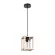 Подвесной светильник Arte Lamp Dublin A7025SP-1BK
