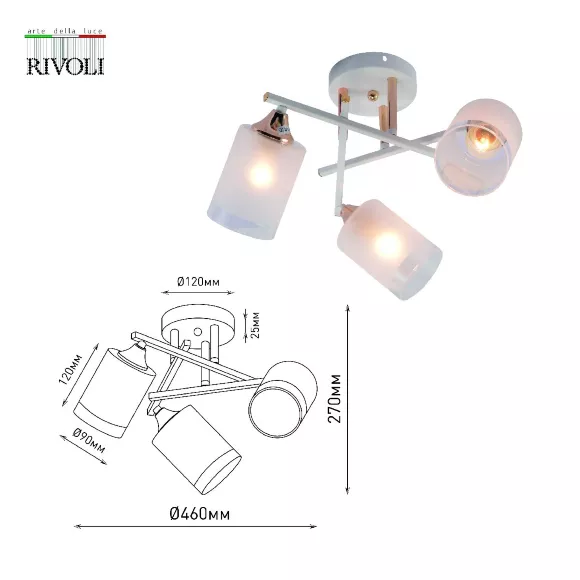 Потолочная люстра Rivoli Tammy 3162-303 Б0059258, Белый, Металл, Стекло, вид сверху