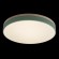 Потолочный светильник Loft IT AXEL 10001/36 Green