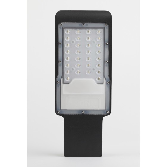 Уличный светильник Эра SPP-503-0-30K-050 Б0051836