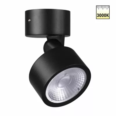 Уличный потолочный светильник Novotech Street Focus 359588