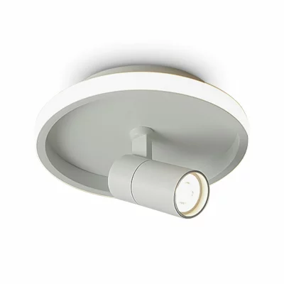 Потолочный светильник Freya Neo FR6040CL-L14W