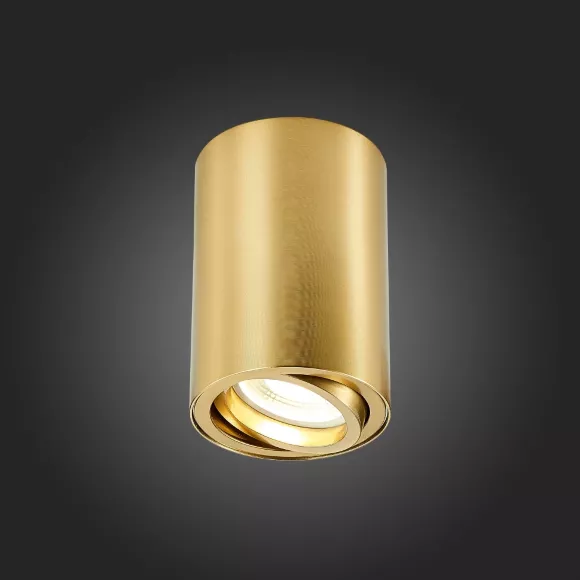 Накладной светильник ST Luce ST108 ST108.207.01