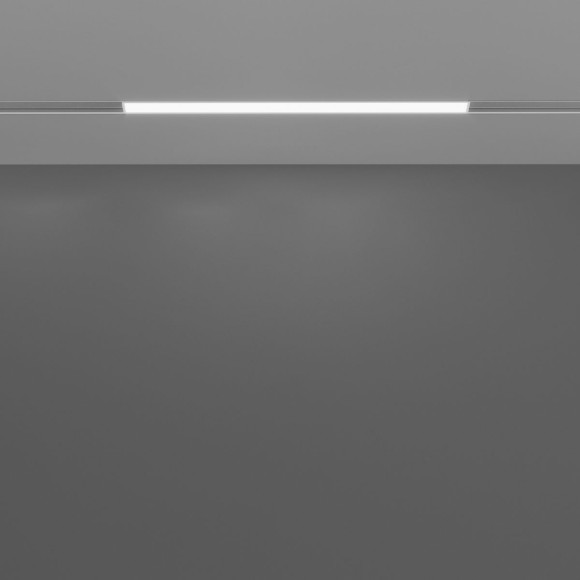 Трековый магнитный светильник Maytoni Basis TR030-4-12W3K-WW-DS-W