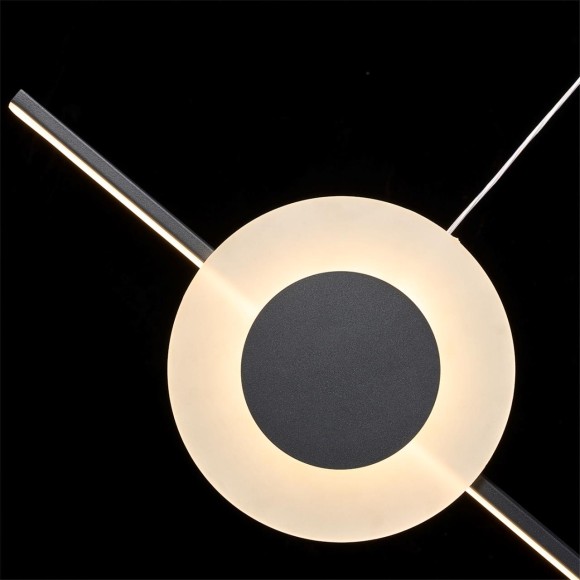 Подвесная светодиодная люстра Lumion Mizuki 5613/28L