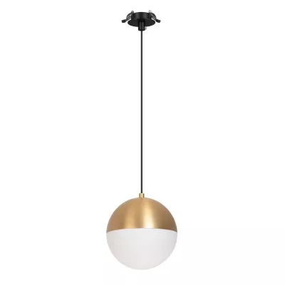Подвесной светильник Arlight SP-EMISFERO-HANG-BUILT-R150-11W Warm3000 (GD, 170 deg, 230V) 056592