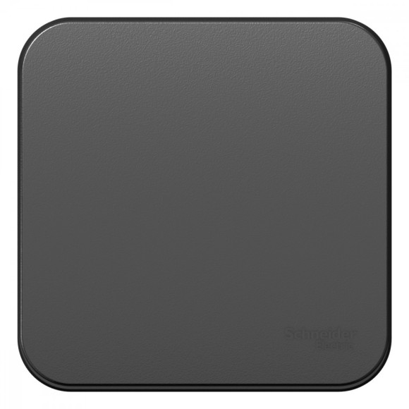 Выключатель 1-клавишный 10А 250B изолир. Пластина Systeme Electric Blanca наруж Антрацит BLNVA101016