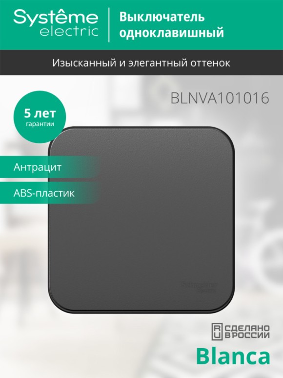 Выключатель 1-клавишный 10А 250B изолир. Пластина Systeme Electric Blanca наруж Антрацит BLNVA101016