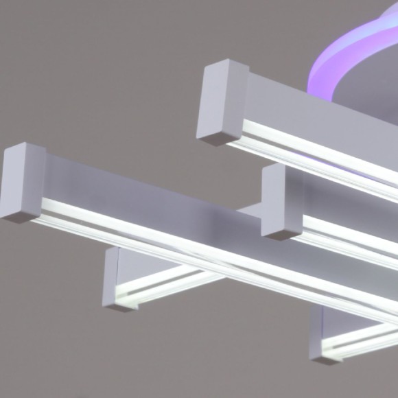 Потолочная светодиодная люстра с пультом управления Reluce 01030-0.3-06 WT