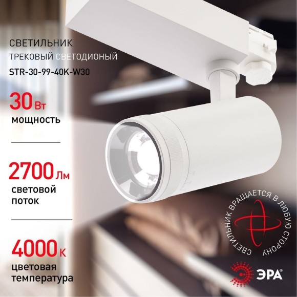 Трековый светильник ЭРА STR-30-99-40K-W30 Б0049785