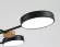 Люстра на штанге Ambrella Light Linetech Comfort FL4863, 3000, 6000, От теплого до холодного