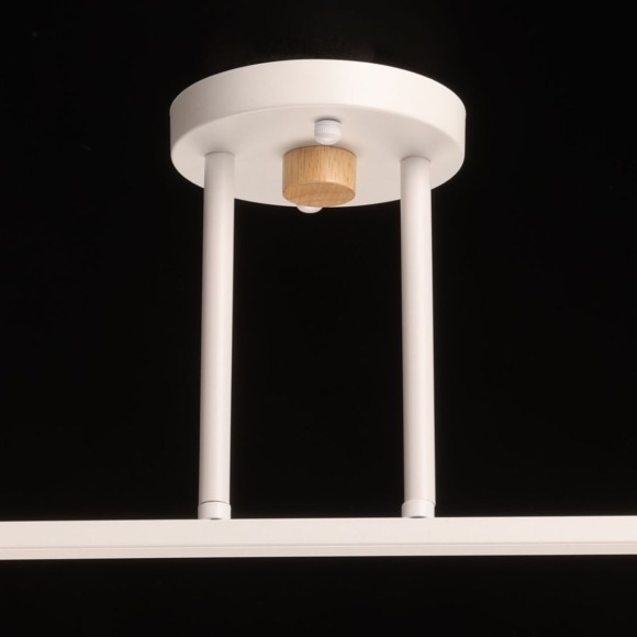 Потолочный светильник De Markt Дэла 635014202