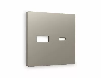Лицевая панель для розетки 2USB A+C Ambrella Volt Alfa AP3710