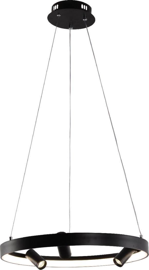 Подвесная светодиодная люстра с пультом управления Rivoli Sele Б0062238