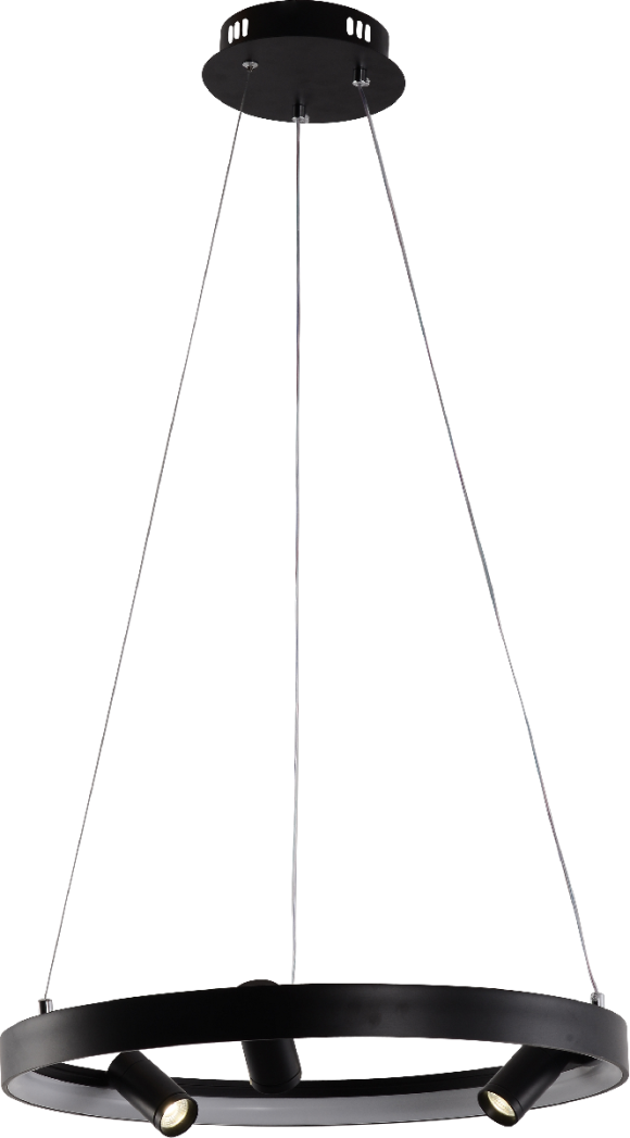 Подвесная светодиодная люстра с пультом управления Rivoli Sele Б0062238