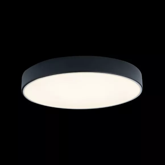 Потолочный светодиодный светильник Loft IT Axel 10002/24 black