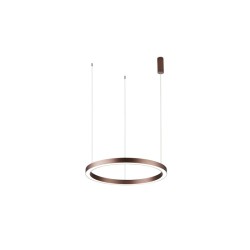 Подвесная светодиодная люстра Aployt Nisia APL.025.03.60