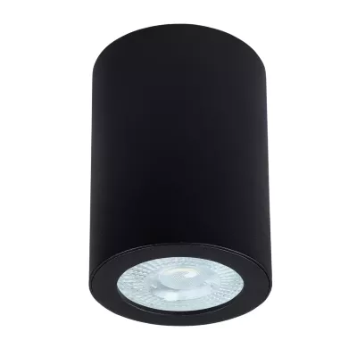 Накладной светильники Arte Lamp Tino A1468PL-1BK