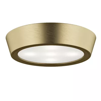 Потолочный светильник Lightstar Urbano Mini LED 214714