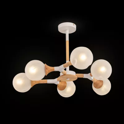Потолочный светильник Freya Amy FR5105CL-06W