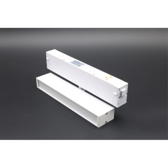 Трековый магнитный светильник Aployt Magnetic track 220 APL.0203.10.09