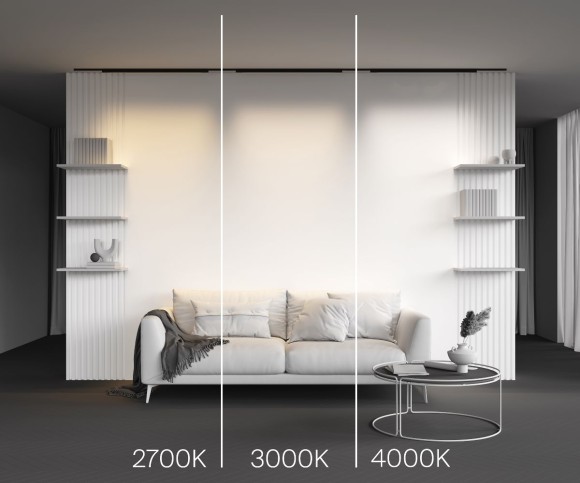 Трековый магнитный светильник Maytoni Basis TR192-1-21W4K-B