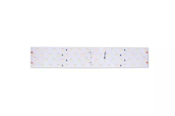 Светодиодная лента DesignLed DSG2280-24-NW-33 000531, Нейтральный белый, Россия, светодиодный модуль Светодиодная лента DesignLed DSG2280-24-NW-33 000531, Нейтральный белый, Россия, светодиодный модуль