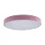 Потолочный светильник Loft IT AXEL 10002/24 Pink