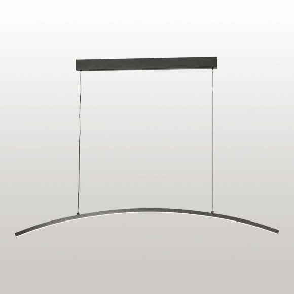 Линейно-подвесной светильник Lussole Bradford LSP-7453