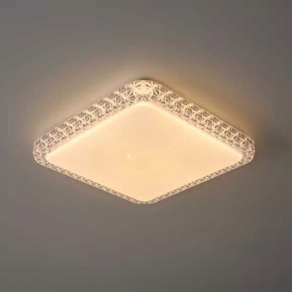 Потолочный светильник Freya Bissar FR6227CL-L36W, Белый Потолочный светильник Freya Bissar FR6227CL-L36W, Белый