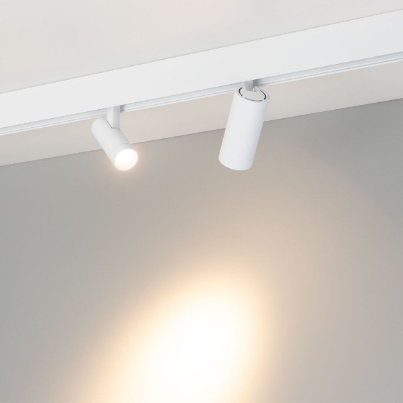 Трековый магнитный светильник Arlight MAG-ORIENT-SPOT-R45-9W Day4000 (WH, 24 deg, 48V) 046864