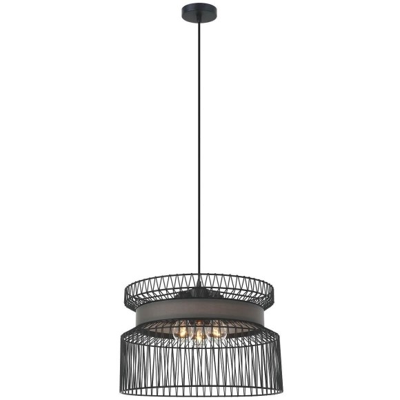 Подвесная люстра Favourite Korb 2363-2P