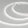 Светодиодная лента Arlight MICROLED-M266-4mm 24V Day5000 12 W/m, IP20, 2216, 5m 037822