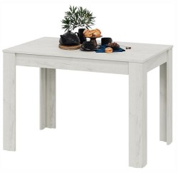 Стол обеденный Ганновер TRI_262328