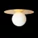 Потолочный светильник Loft IT Ufo 10120/250C Gold, крупный план
