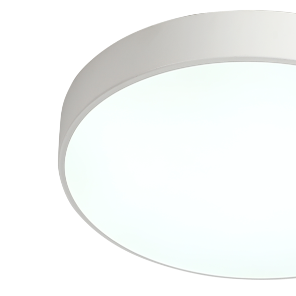 Потолочный светильник Zortes Tortty ZRS.02564.48