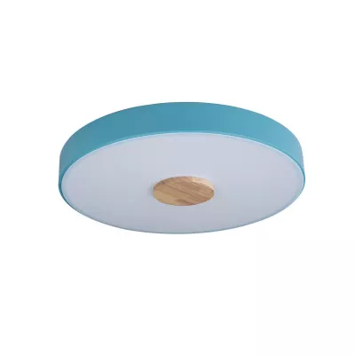 Потолочный светильник Loft IT AXEL 10003/24 Blue
