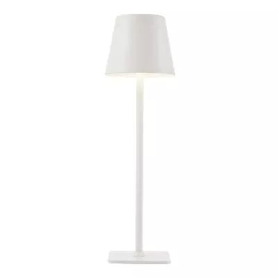 Настольная лампа F-Promo Pyari 4614-1T