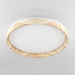 Потолочный светильник Citilux Enzo CL753452G