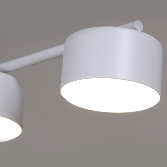 Потолочная люстра Reluce 03725-0.3-06 WT GX53