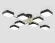 Потолочная люстра Ambrella Light Linetech Comfort FL516348, вид снизу