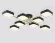 Потолочная люстра Ambrella Light Linetech Comfort FL516348, Черный, Белый, От теплого до холодного, вид снизу